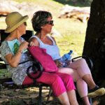 Find a great travel companion